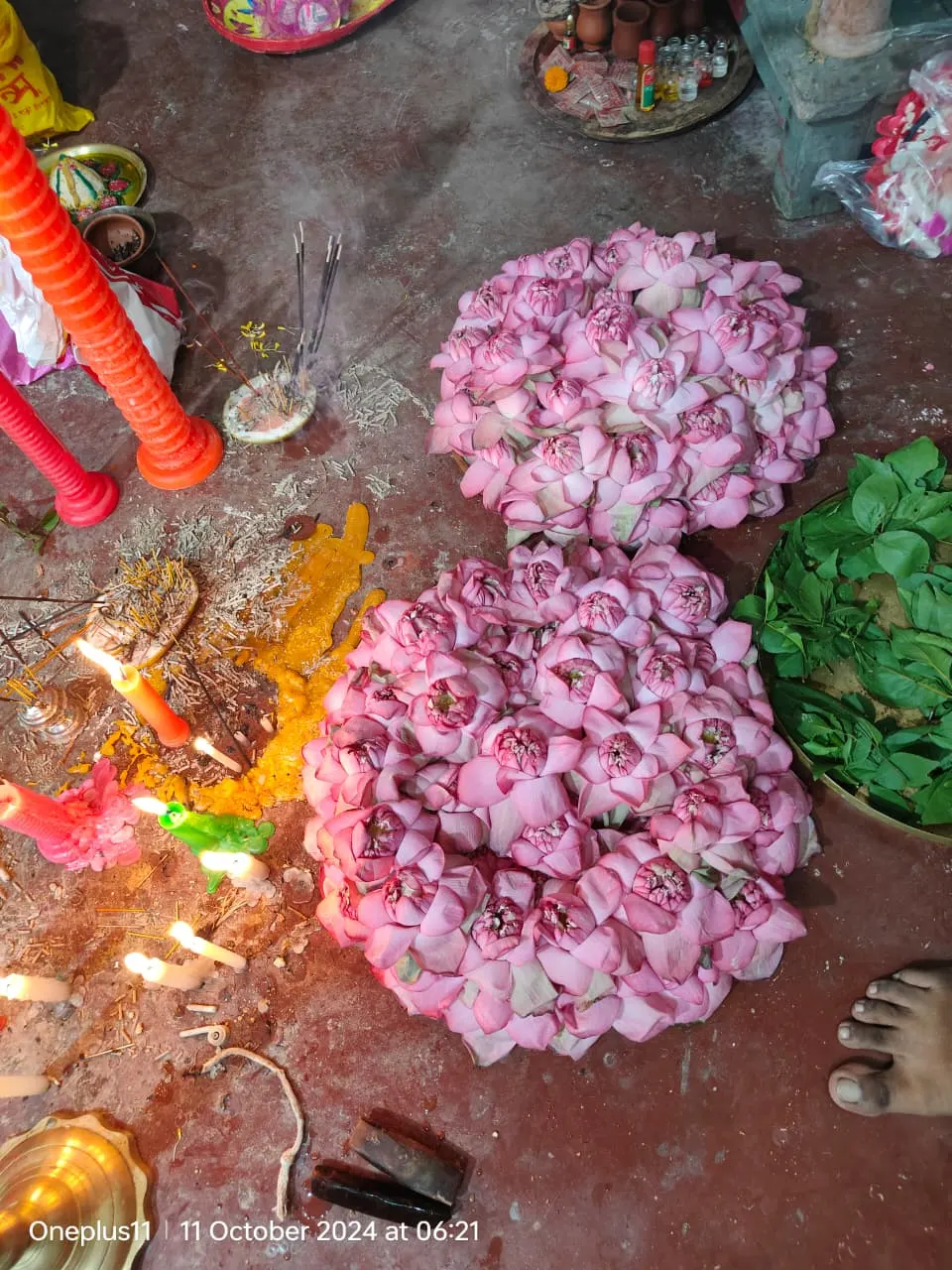 108 lotuses prepared for Sandhi Puja